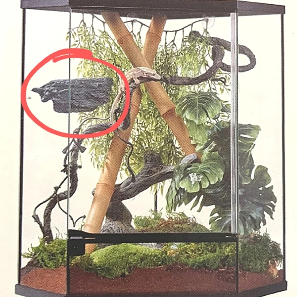 New! THRIVE Tropical Food & Water Dish with Suction Cups.